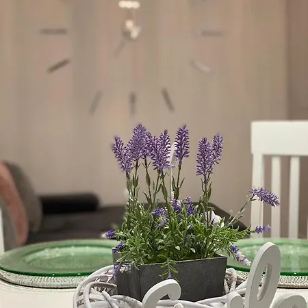 Neubauer Vermietung Apartment *