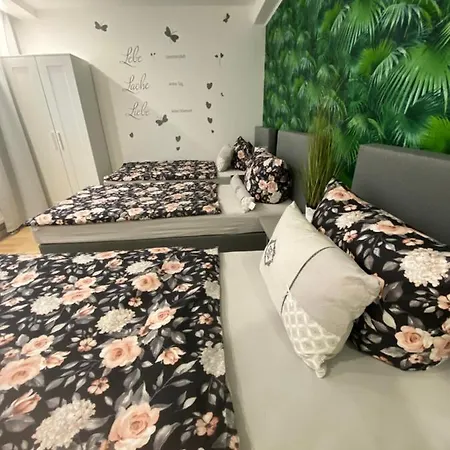 Apartment Neubauer Vermietung