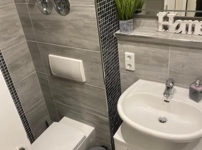 Neubauer Vermietung Appartement