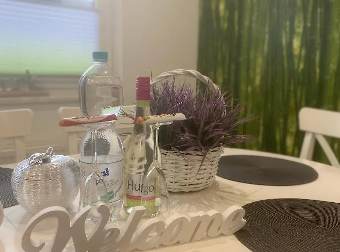 Neubauer Vermietung Appartement *