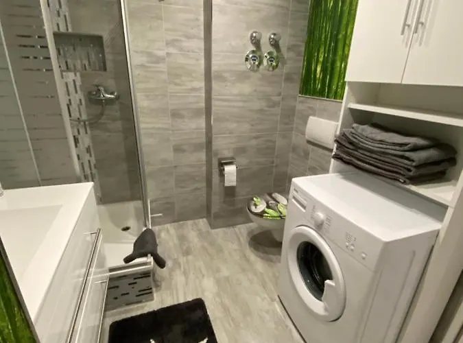 Neubauer Vermietung Appartement