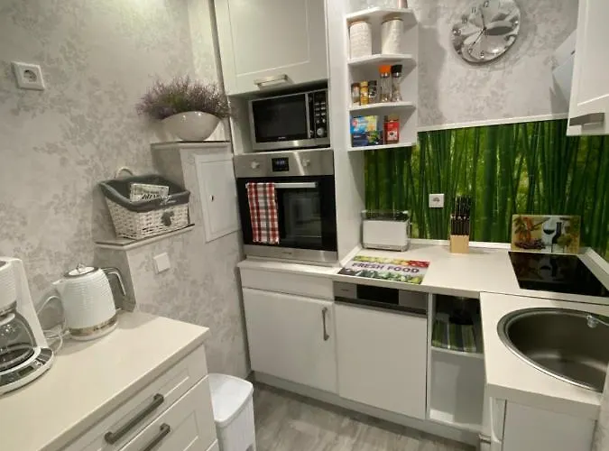 Appartement Neubauer Vermietung *